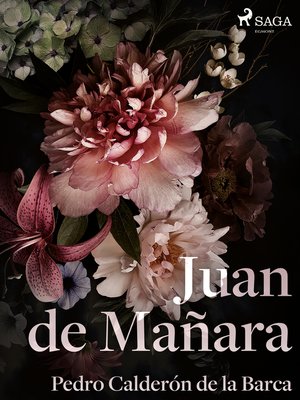 cover image of Juan de Mañara